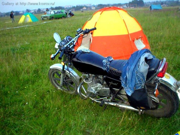 ����-��� 2003